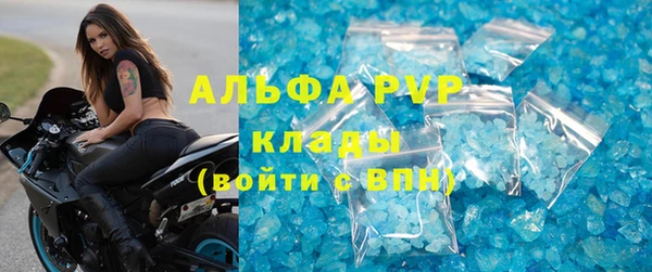 дживик Новодвинск
