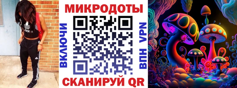 Купить где  Углич  Галлюциногенные грибы Psilocybine cubensis 