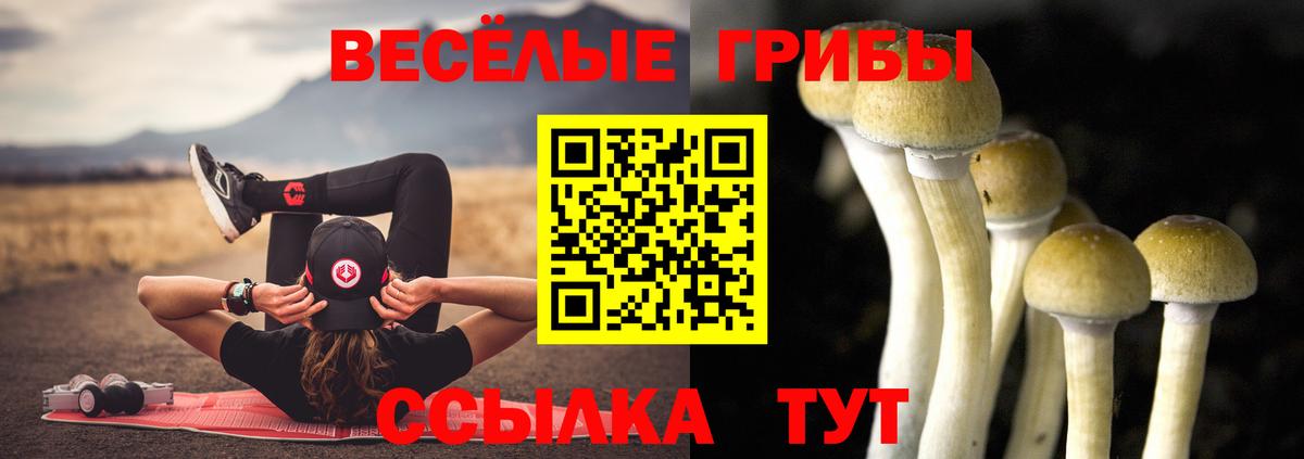 Галлюциногенные грибы мицелий  Псилоцибиновые грибы GOLDEN TEACHER  Вход с VPN  Углич 